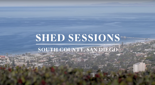 Shed sessions-jojo-roper-birds-surf-shed-