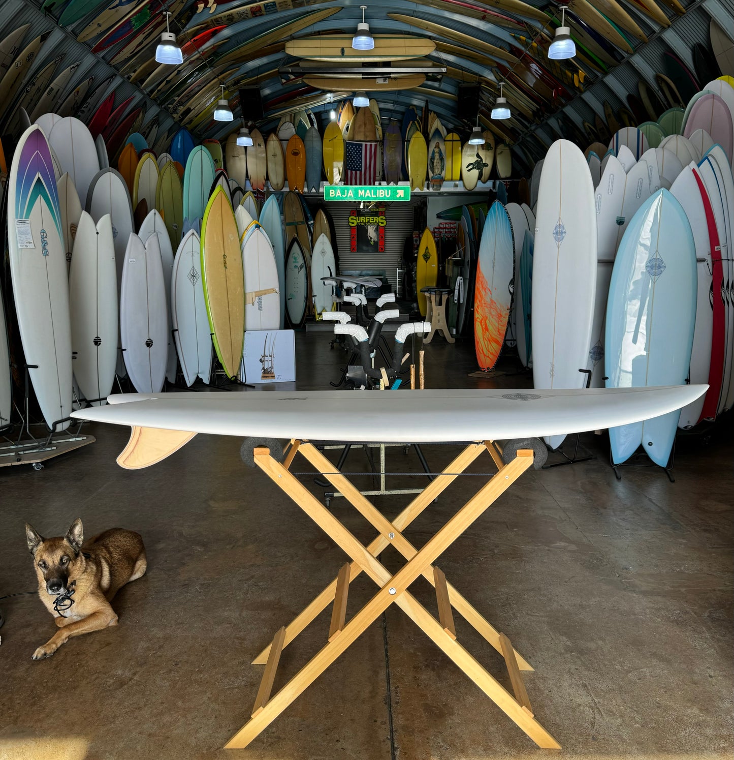 ELLINGTON FISH - Keel : 5'11