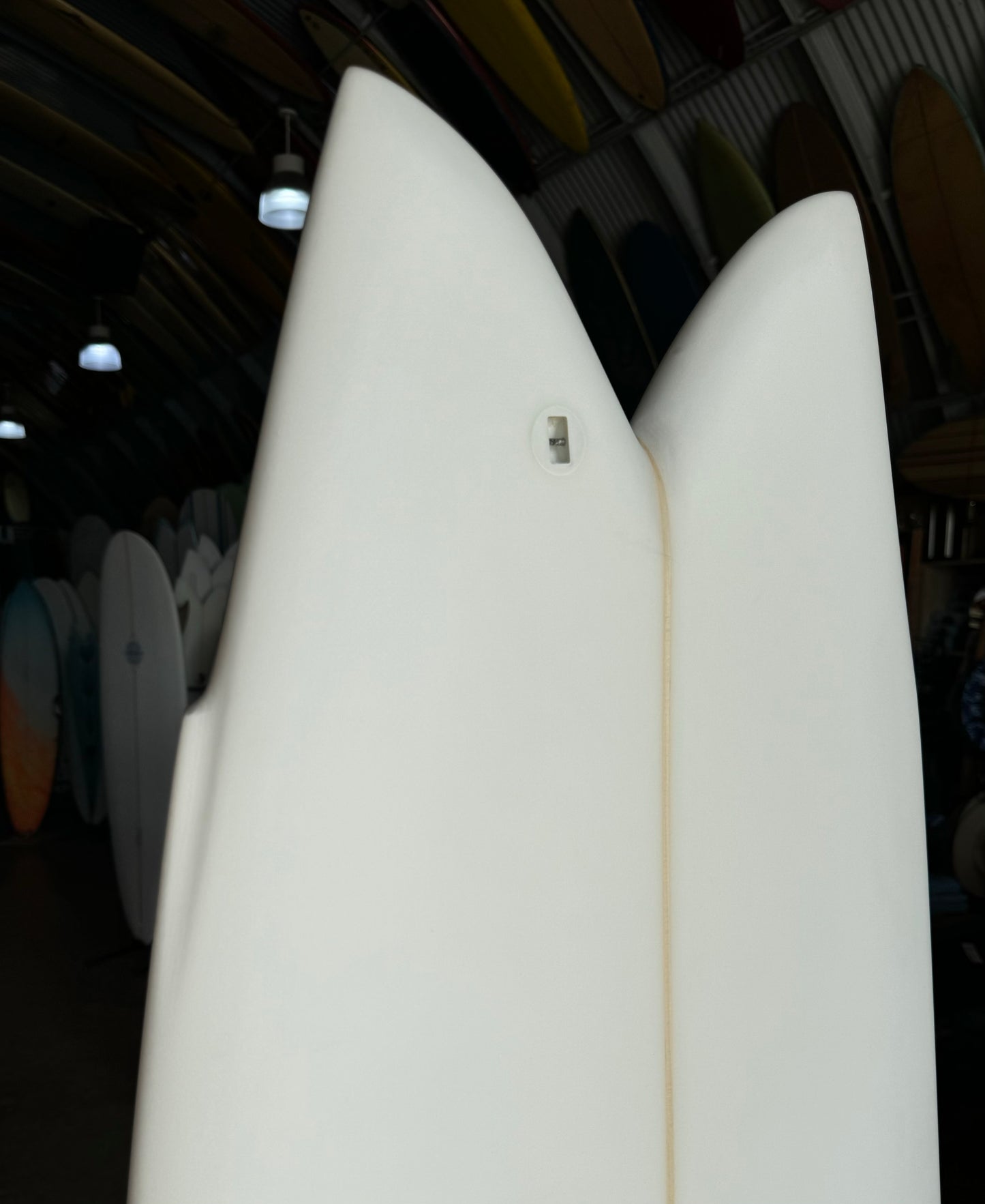 ELLINGTON - QUAD FISH : 6'0