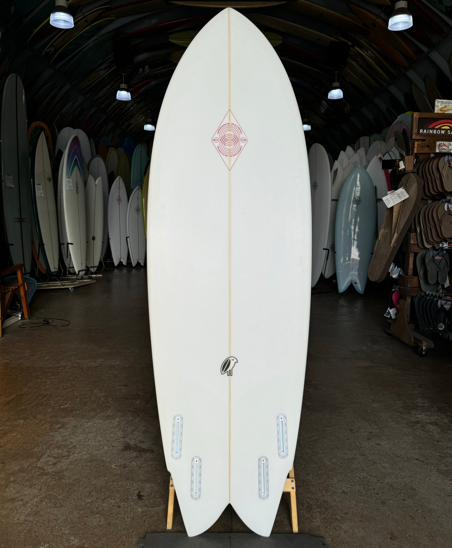ELLINGTON - QUAD FISH : 6'0