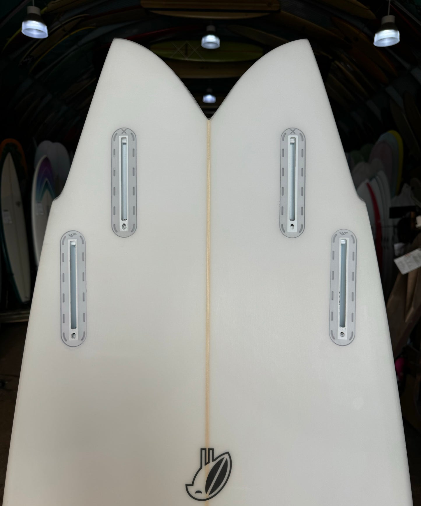 ELLINGTON - QUAD FISH : 6'0