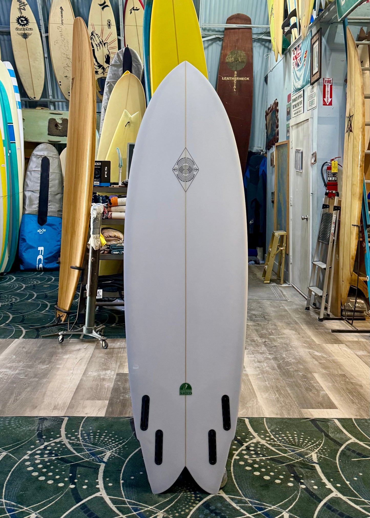 ELLINGTON - QUAD FISH : 6'4