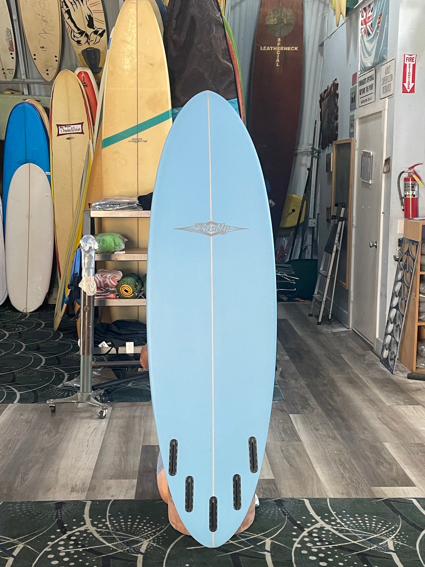 HOLLY EGG 5 Fin - 6'0