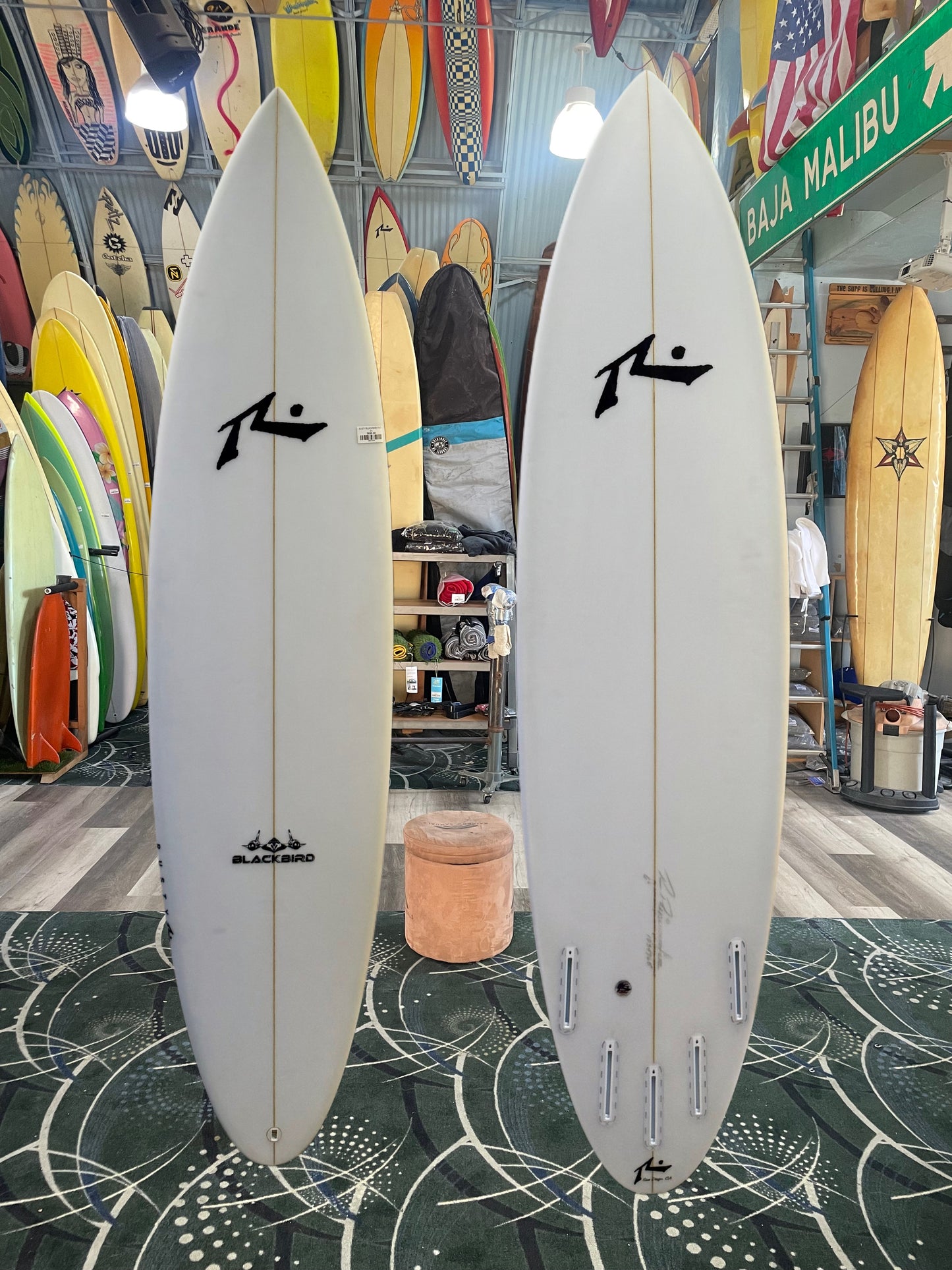 RUSTY BLACKBIRD (FUT)