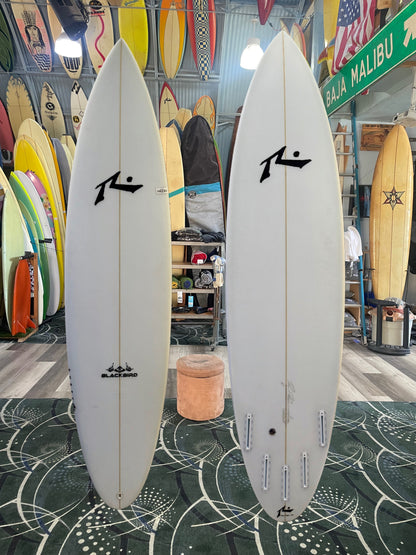 RUSTY BLACKBIRD (FUT)