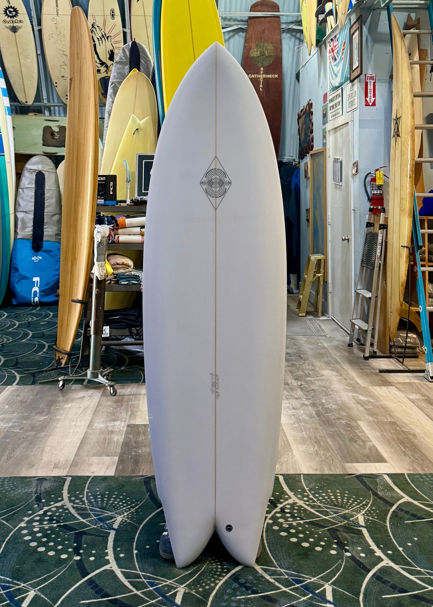 ELLINGTON - QUAD FISH : 6'4