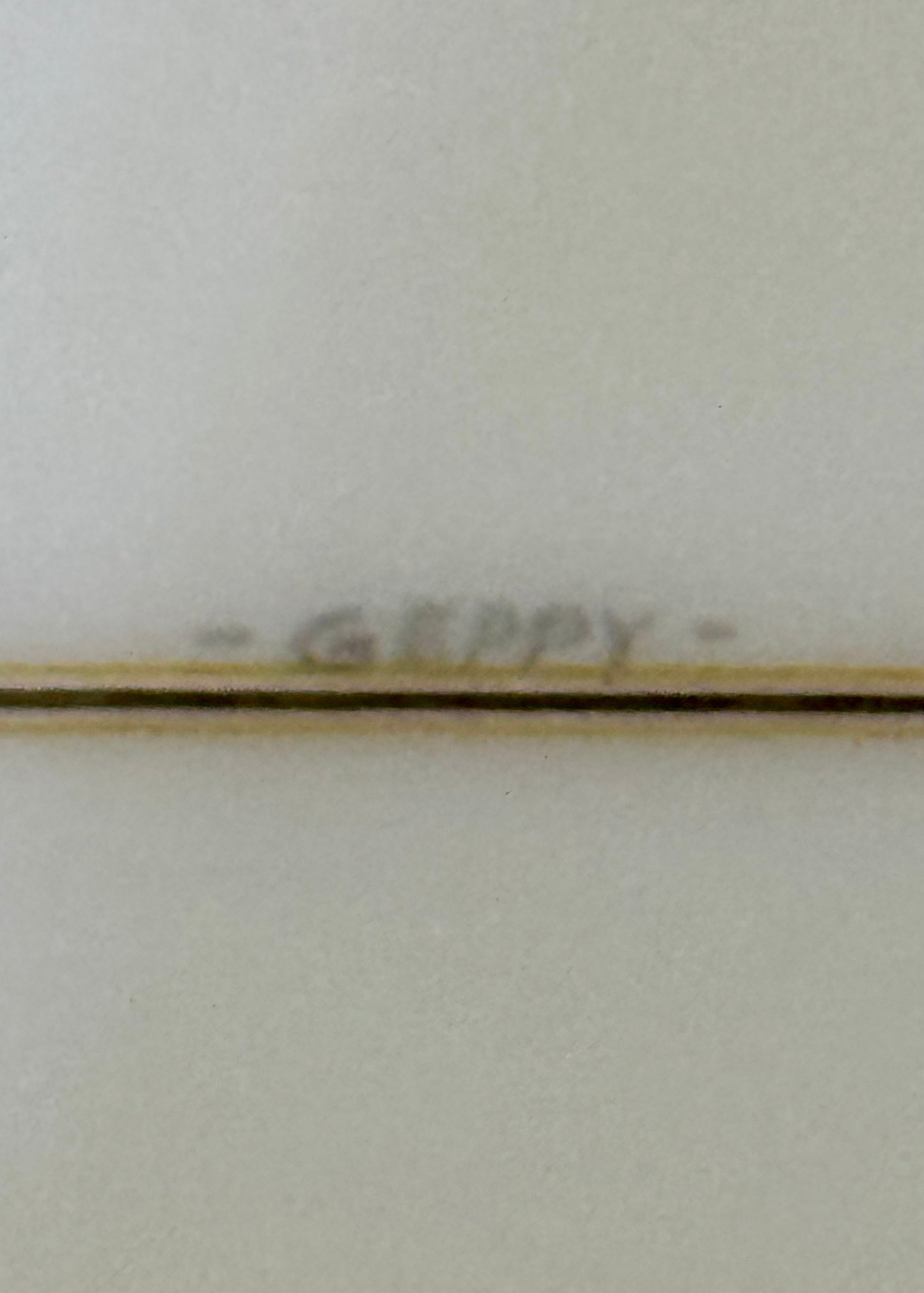 6'4 Skip Frye X Geppy Fish