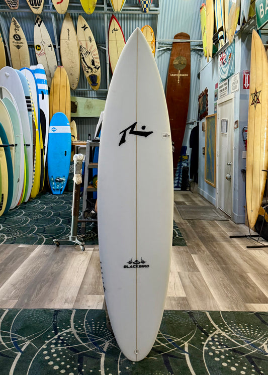 RUSTY BLACKBIRD (FUT)