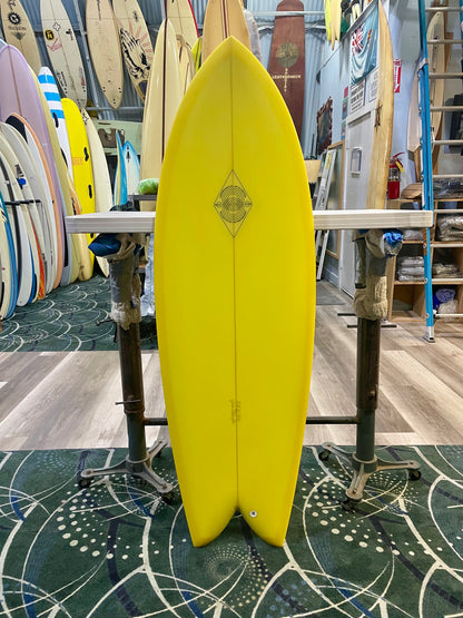 ELLINGTON FISH : 5'6