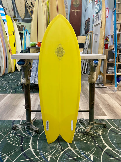 ELLINGTON FISH : 5'6