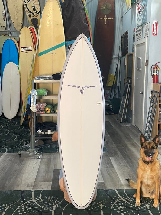 HOLLY WINTER EGG 5 Fin - 6'0