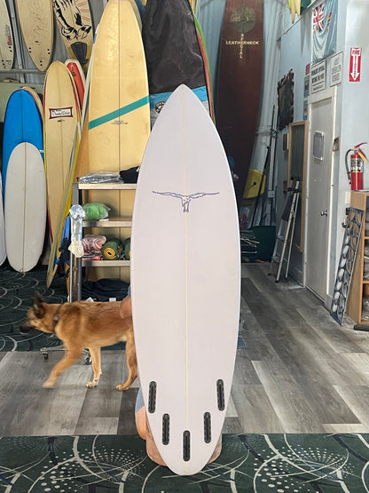HOLLY WINTER EGG 5 Fin - 6'0